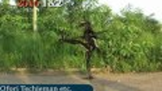 <em>2016</em>, the trailer for Ghana's <em>Predator</em>, is the best thing you'll see all day